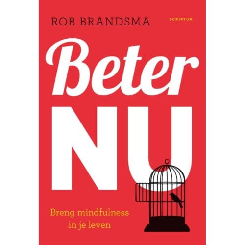 Beter Nu - Rob Brandsma