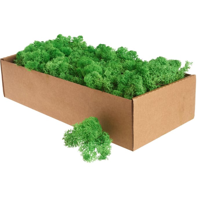 Ijslands mos, 400 g - Meigroen