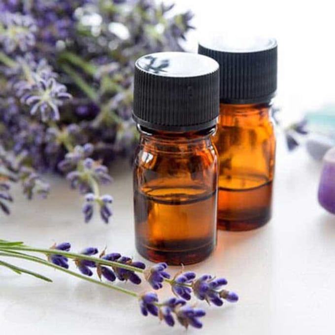 Lavendel Etherische Olie - 500 ml