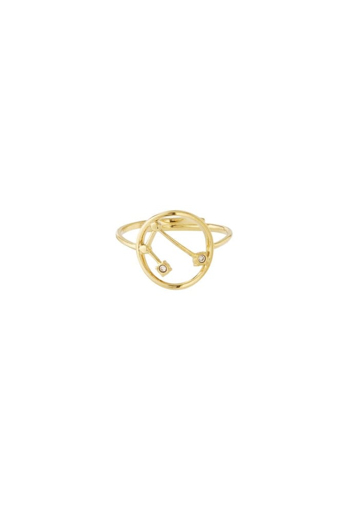 12 zodiac-ringen - Goudkleur