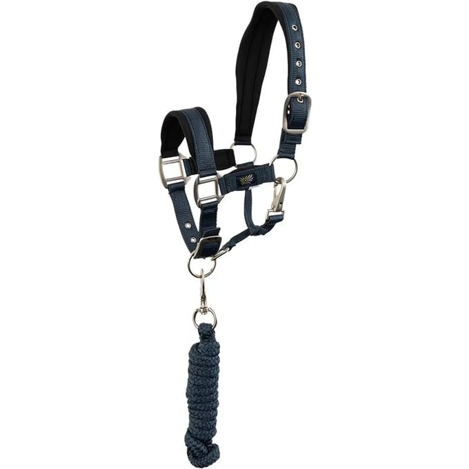 Halster en touwset voor pony BR Equitation