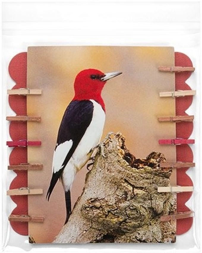 Plastic Zakken 14,5x14,1cm Transparant en Hersluitbaar (100 stuks) | Plastic zak