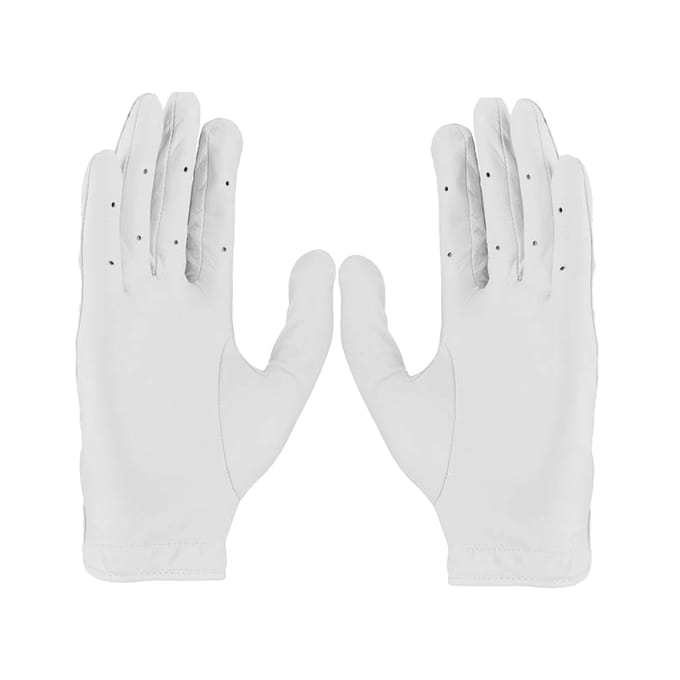 Nike Dames/Dames Tour Classic III Leder 2020 Rechtshandige Golfhandschoen (Wit/zwart)