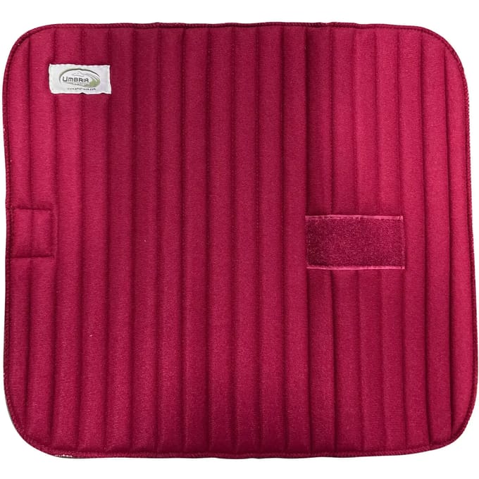 Bovenbanden met padding voor paarden Umbria Equitazione