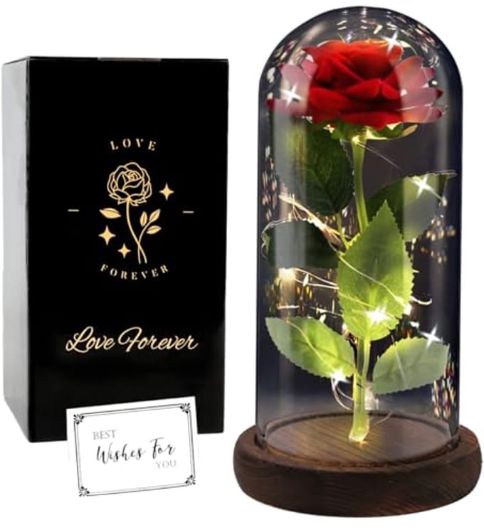 Eeuwige Roos - Glazen Koepel - Romantisch Cadeau - Met LED Licht - 22 cm Hoog - Rood