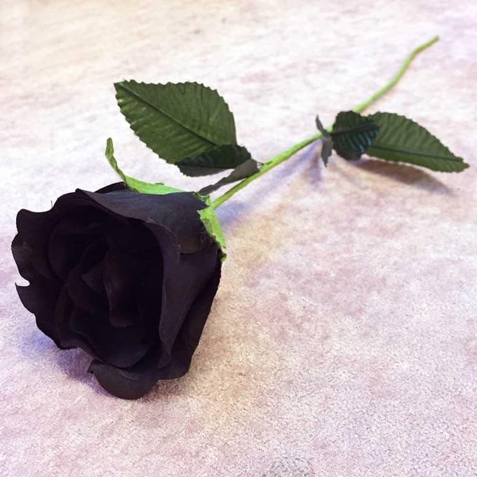 Alchemy - BLACK ROSE Ornament - Zwarte roos - Zwart
