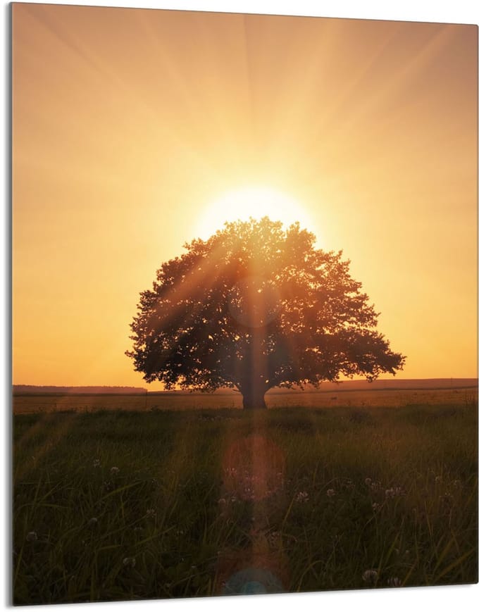 TMK ArtDeko Drzewo - Snijplank van Gehard Glas - 40x52cm