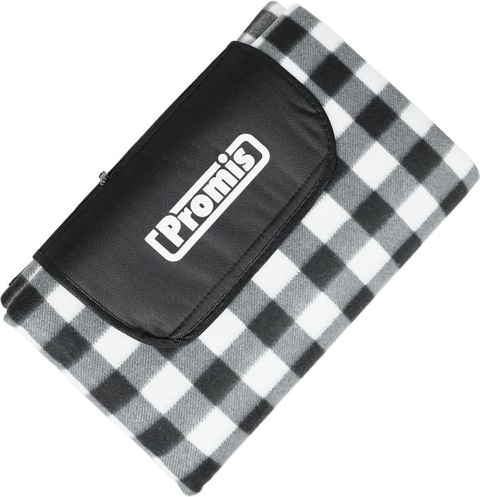 Promis - Picknickkleed XL Waterdicht - 200 x 200 cm - Zwart / Wit / Grijs gestreept - met handvat