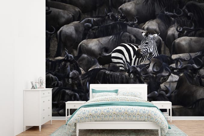 Behang - Fotobehang Zebra - Dieren - Close up - Breedte 385 cm x hoogte 280 cm