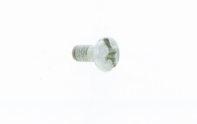 Screw
