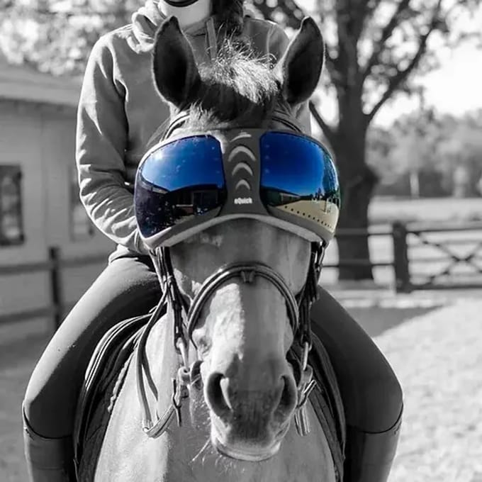 Reserve lenzen voor paardenbrillen eQuick eVysor