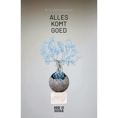 Alles Komt Goed - Kris Vanspauwen