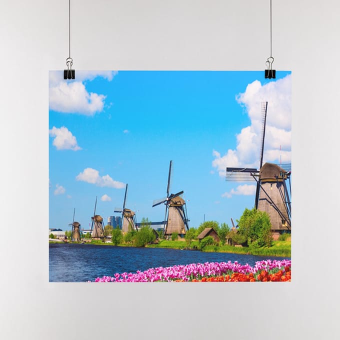 Poster Molens met tulpen, A1, Sunaps posterpapier