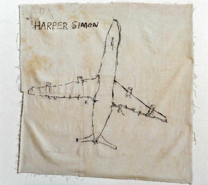 Harper Simon