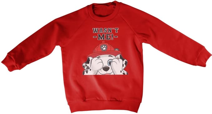Paw Patrol Kinder Wasn't Me Kids-sweatshirt NIC-31-PP007-DTF538