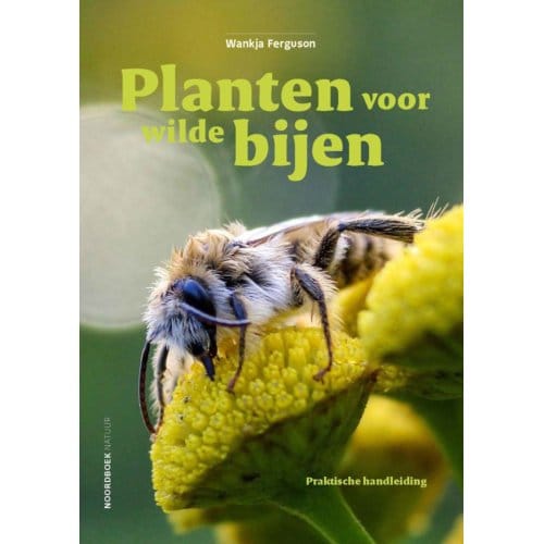 Planten Voor Wilde Bijen - Wankja Ferguson