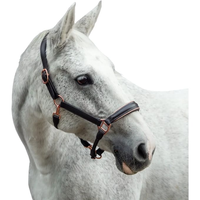 Paardenhalster van leer Bridlery Eternity