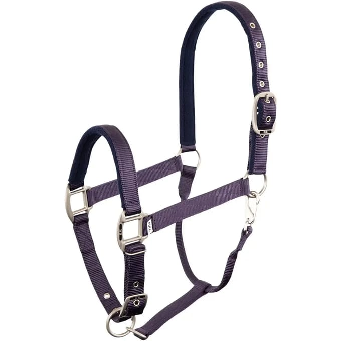 Halster voor paarden BR Equitation Event