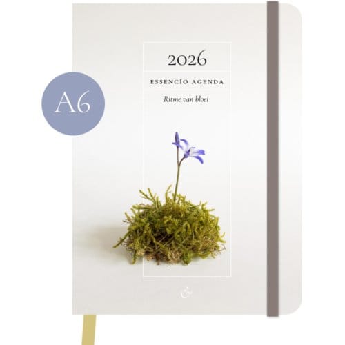 Essencio Agenda 2026 Klein (A6) - Essencio
