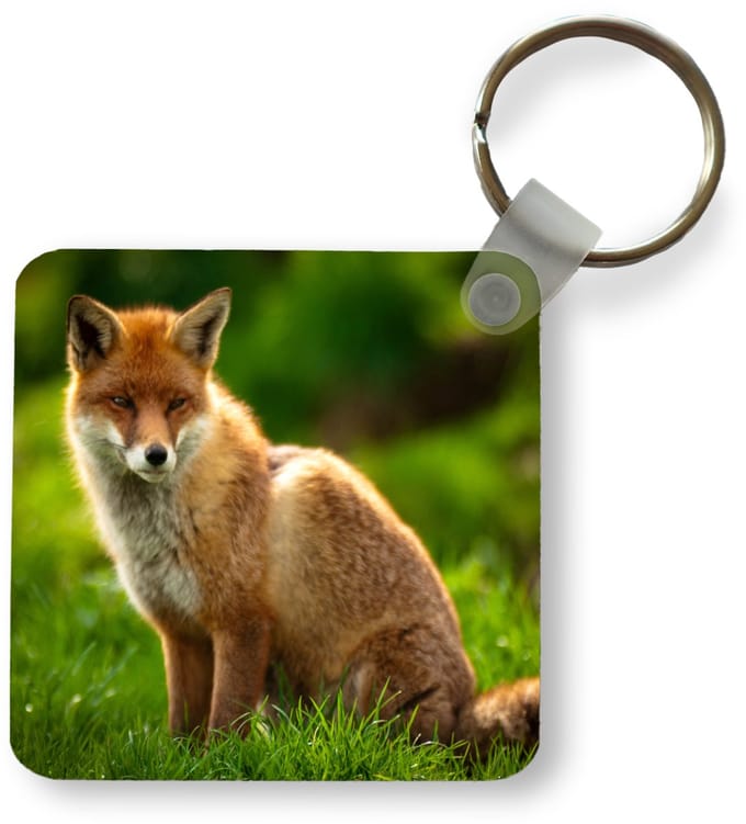 Sleutelhanger - Uitdeelcadeautjes - Vos - Licht - Gras - Plastic