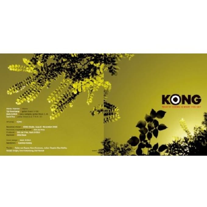 What It Seems Is What You Get - Kong