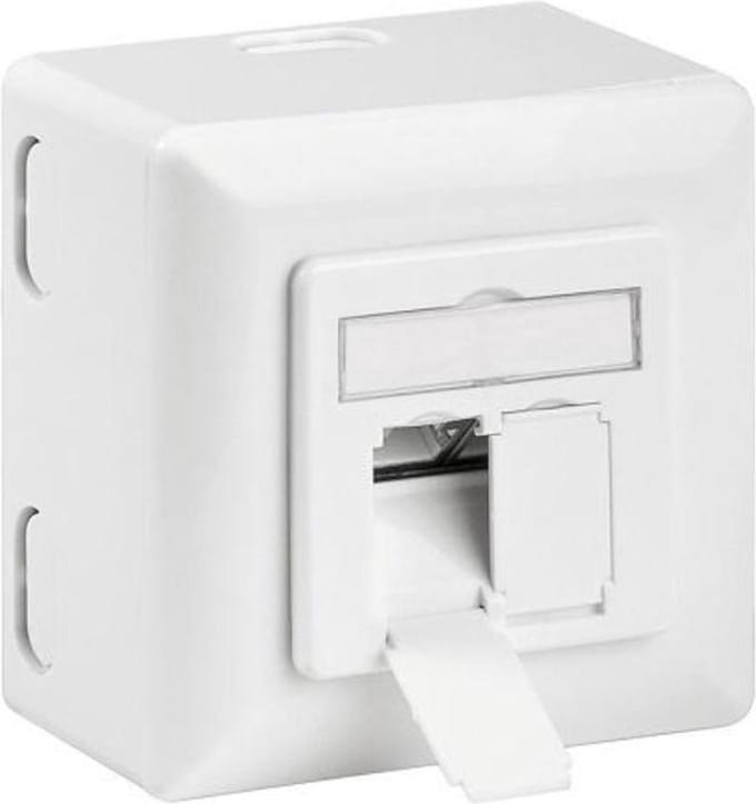 Wandcontactdoos - Cat 6a - Inbouw en opbouw - Wit - Allteq
