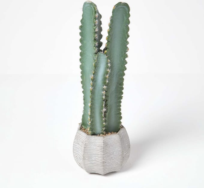 Homescapes Kunstcactus Hylocereus in cementpot, 49 cm hoog