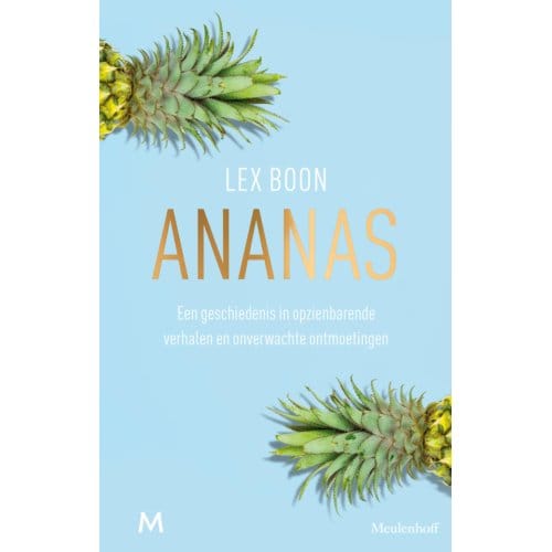 Ananas - Lex Boon