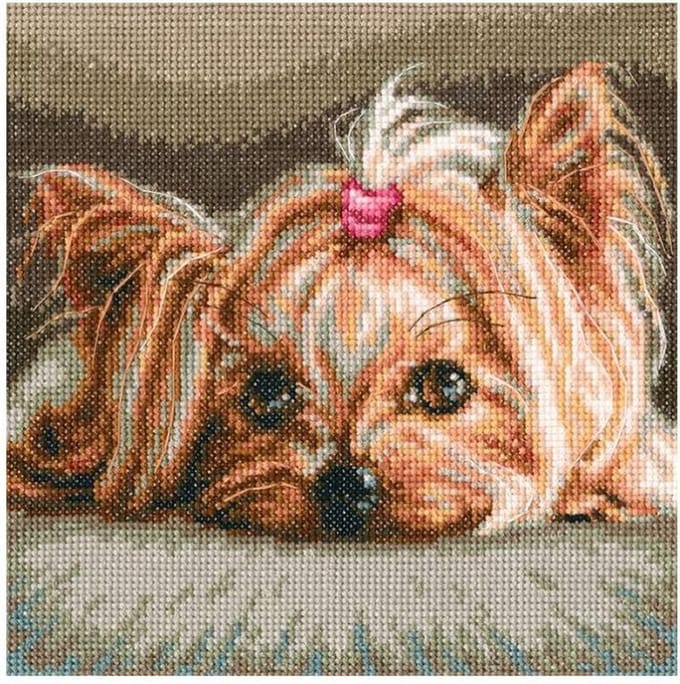 RTO Yorkshire Terrier Pet borduren (pakket)