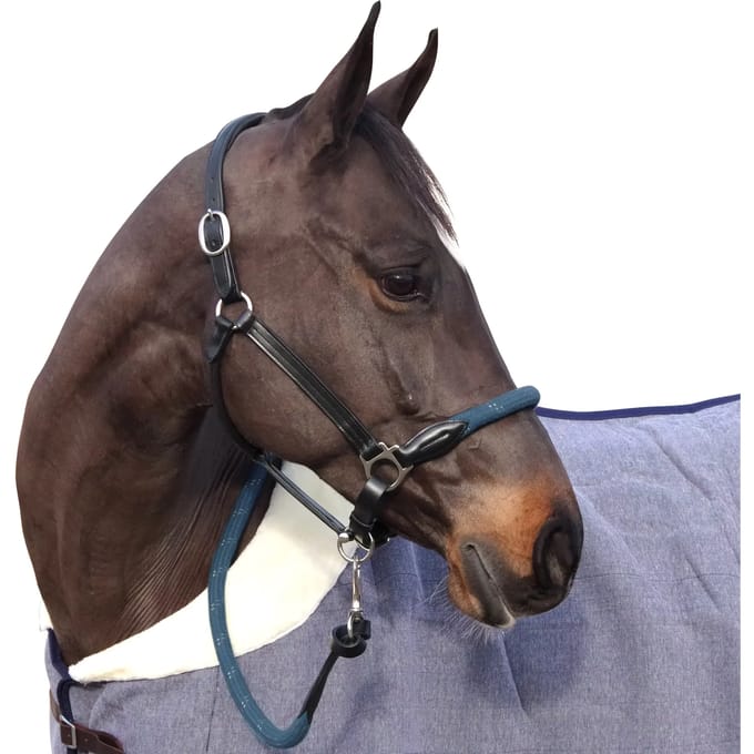 Touwhalster met witte gespen Canter