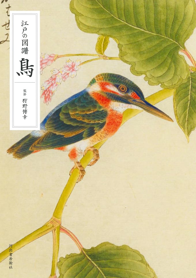 Illustraties van vogels uit de Edo-periode