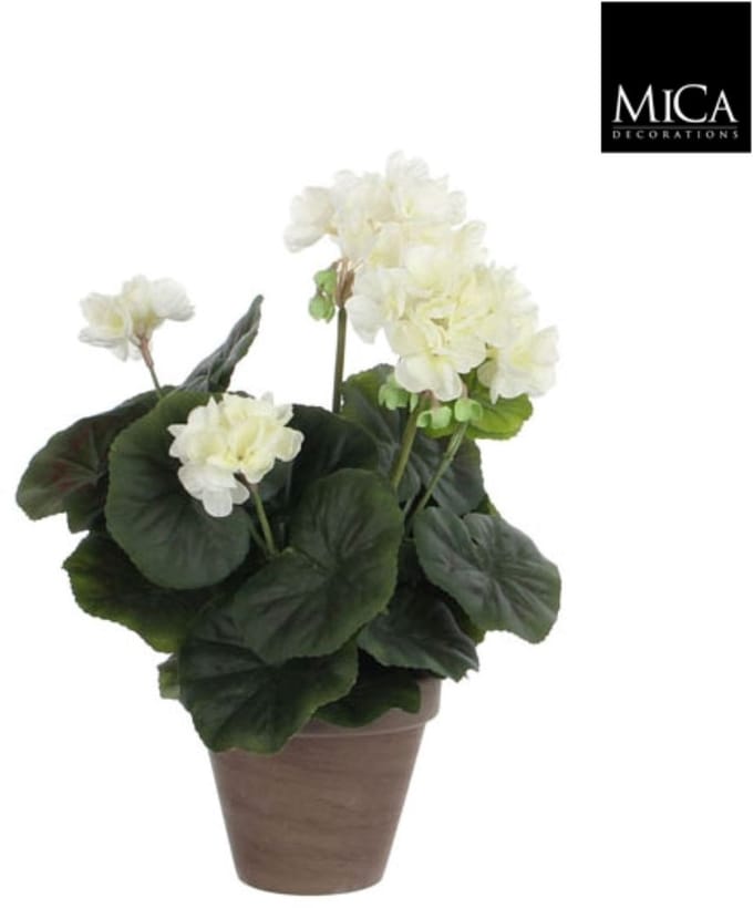 6 stuks! Geranium creme in pot stan grijs d11,5 cm h34xd20 cm Mica...