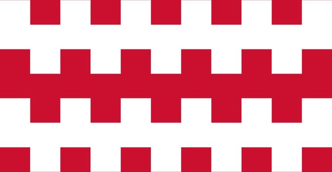 Vlag Dongen 30x45cm