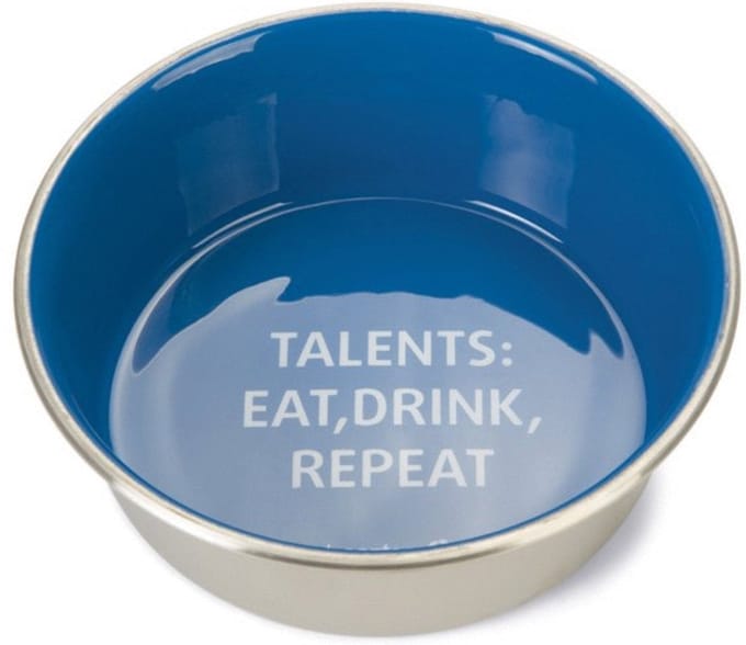 Beeztees Eetbak Rvs Talents Hond Blauw - Hondenvoerbak - Ø16x5 cm
