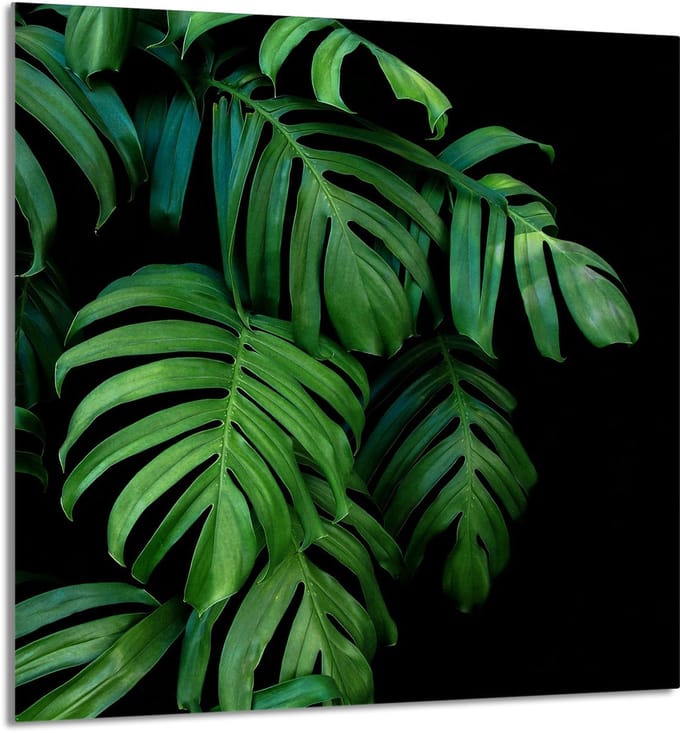 TMK ArtDeko - Snijplank - Glas - 60x65 cm - Veilig