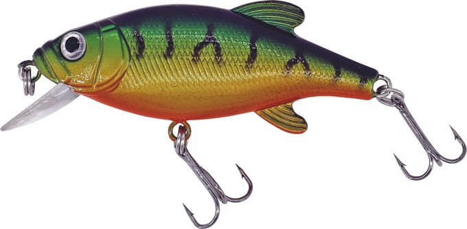 Albatros Catch21 Peacock Green Perch