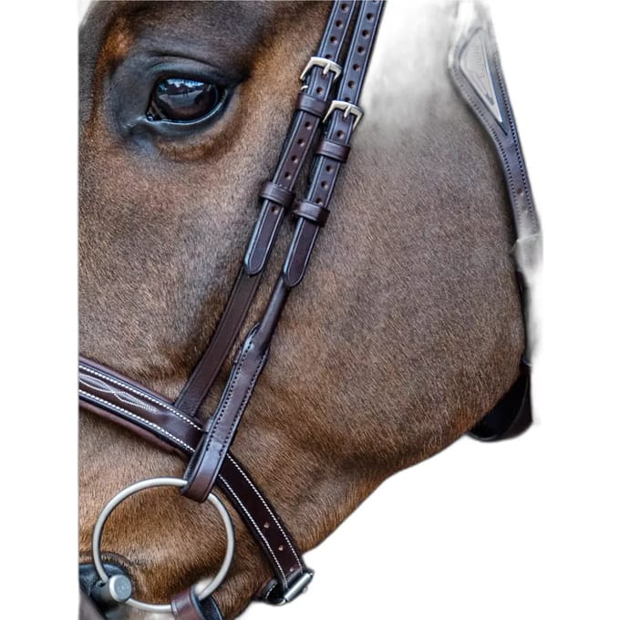 Afgeronde staanders voor paarden Equiline (x2)