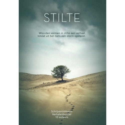 Stilte Versus Storm - Schrijveninhoorn - Lieve van den Berg