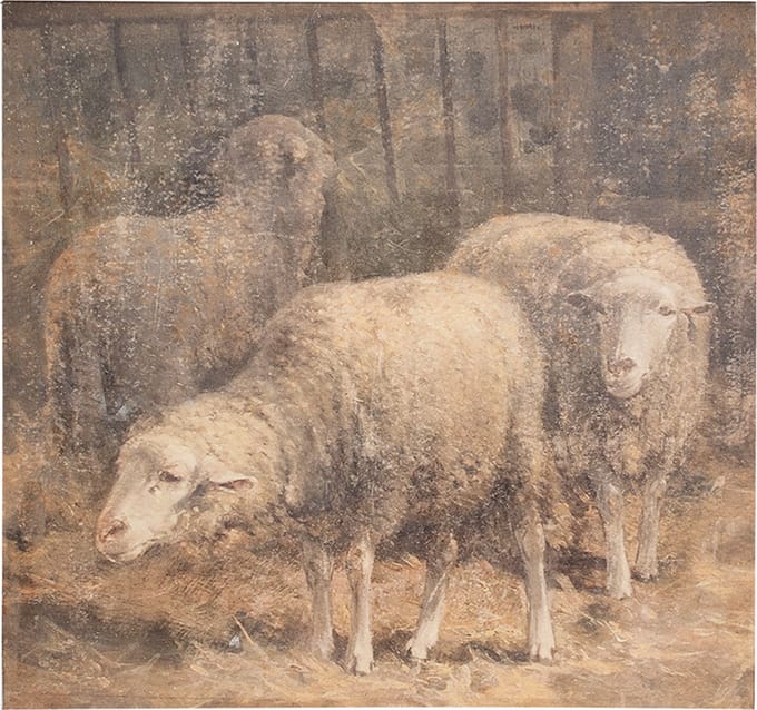 Clayre & Eef Schilderij 50x3x50 cm Bruin Canvas Schaap