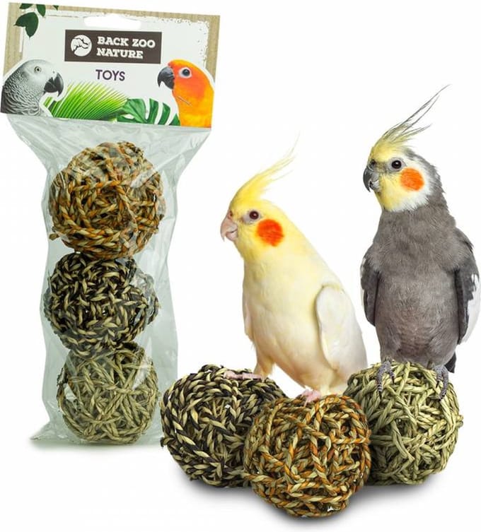 Back Zoo Nature Giant Seagrass Balls - Pack of 3