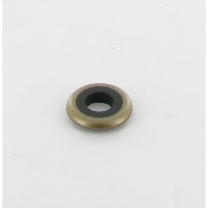 Briggs & stratton ring
