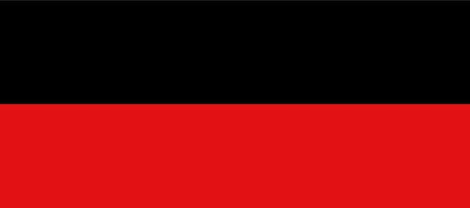 Vlag Landen 100x150cm