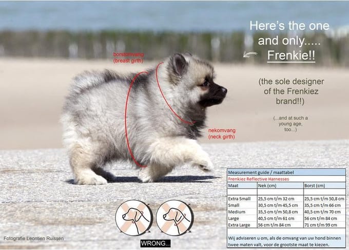 Frenkiez reflective no pull lockable harness, pink, Large