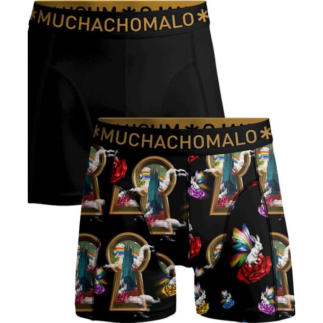 Muchachomalo Boxer overtherain