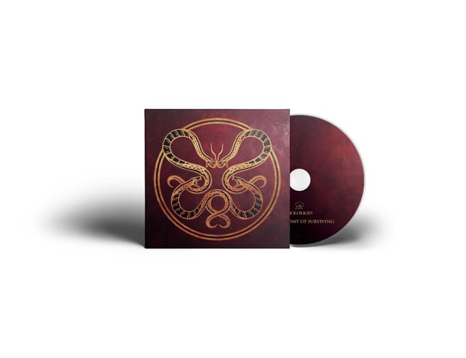 Vicious Rain - The Anatomy