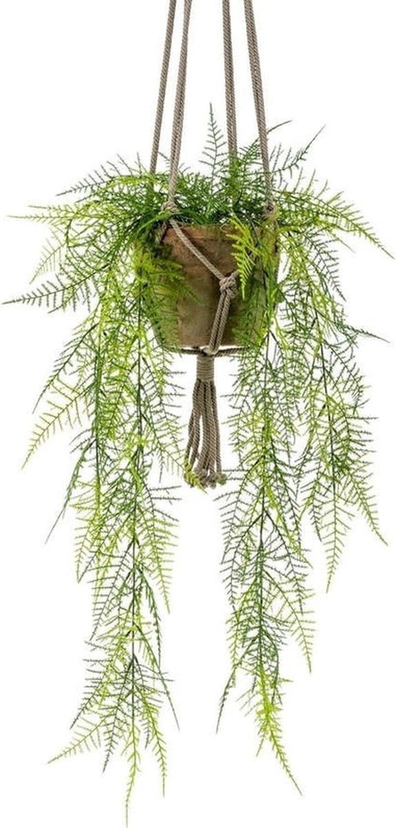 Kunsthangplant - Varen - 80 cm - Oude Terracotta Pot