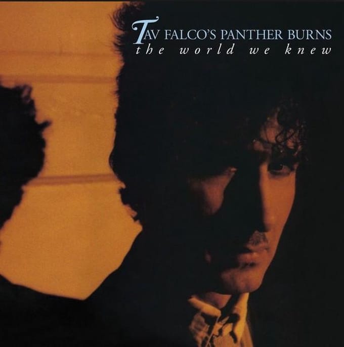 Tav Falco's Panther Burns - The World We Knew (CD)