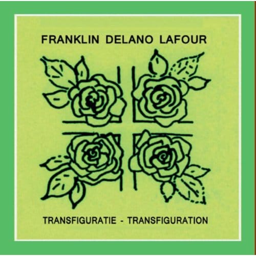 Transfiguratie-Transfiguration - Franklin Delano Lafour