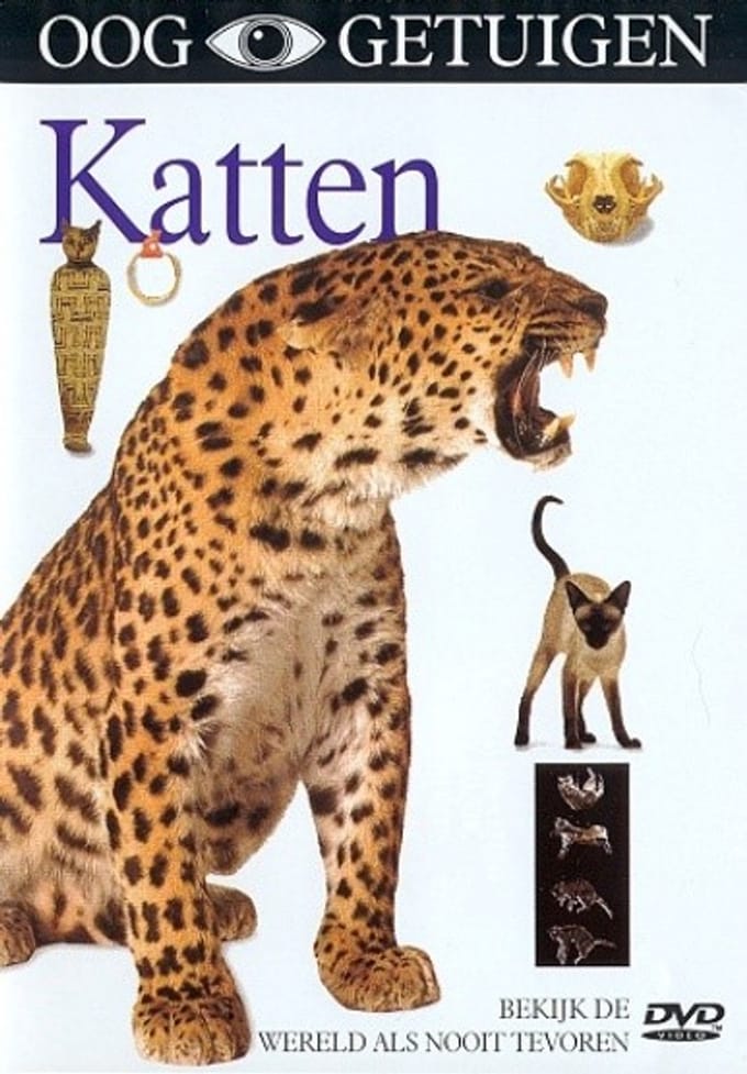 Ooggetuigen - Katten (DVD)
