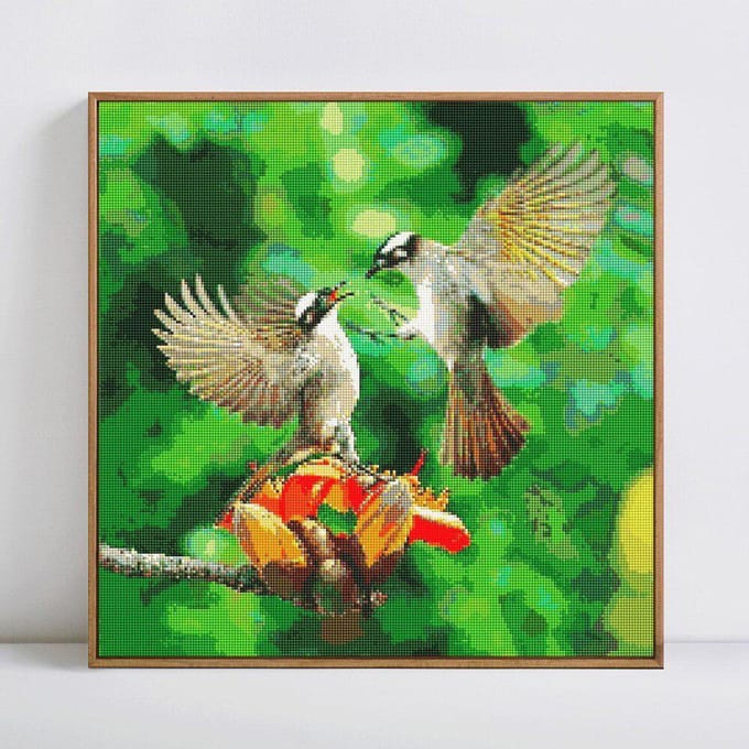5D diamant schilderij dier vogel volledige ronde strass foto borduurwerk 30x30 green